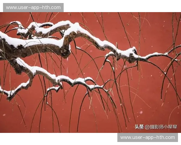 蓝白圣殿与红墙博弈：当潘帕斯雄鹰在紫禁城下起舞